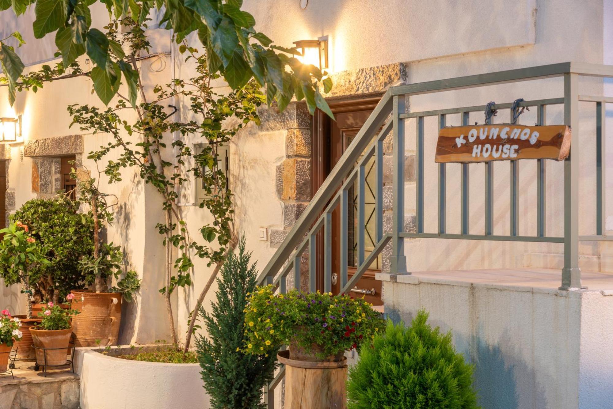 Kounenos House إسترو المظهر الخارجي الصورة