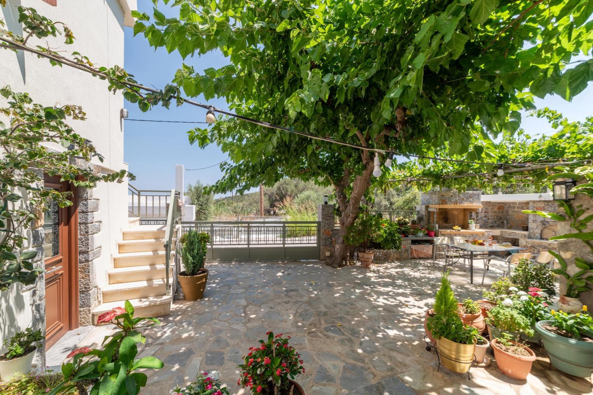 Kounenos House إسترو المظهر الخارجي الصورة