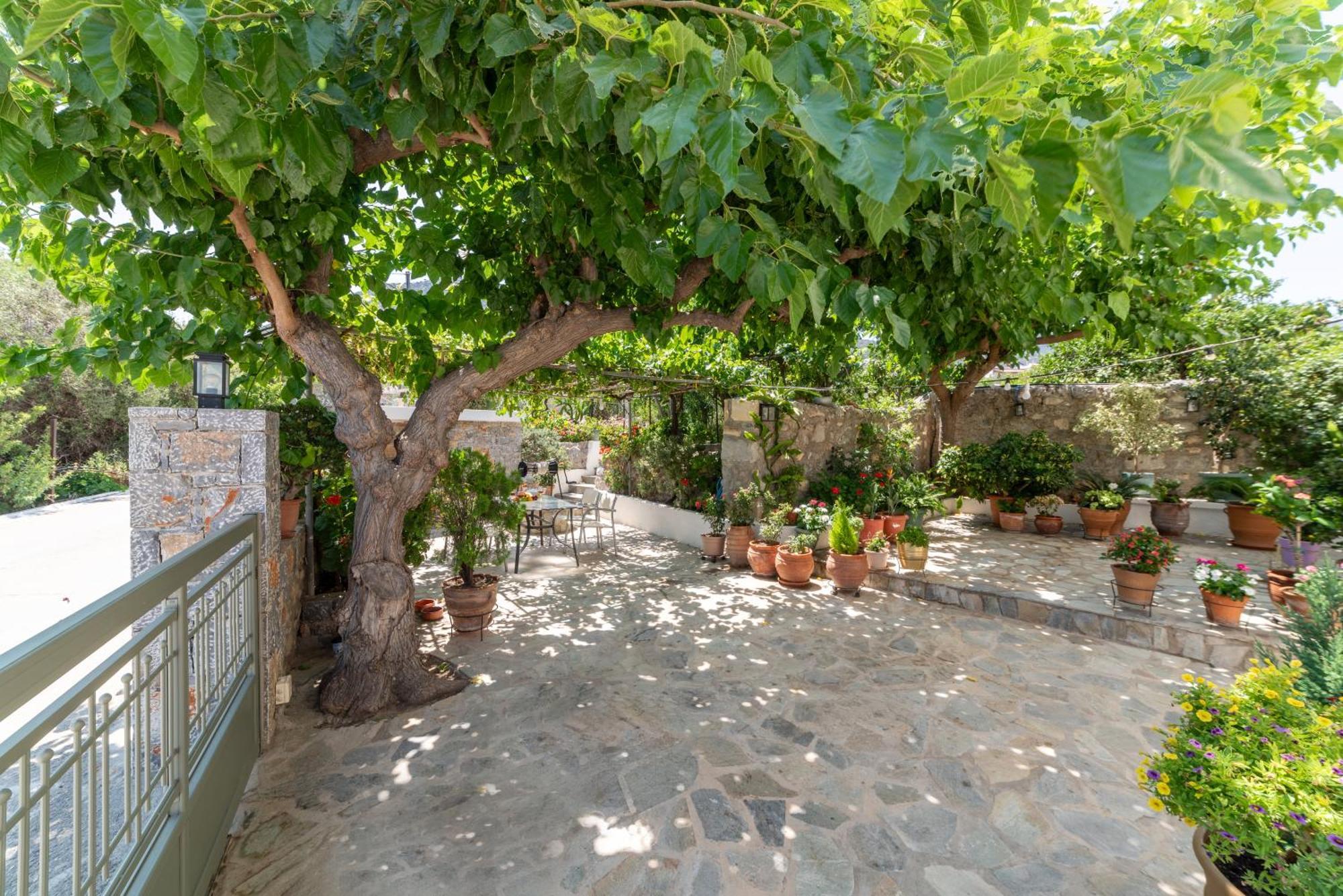 Kounenos House إسترو المظهر الخارجي الصورة