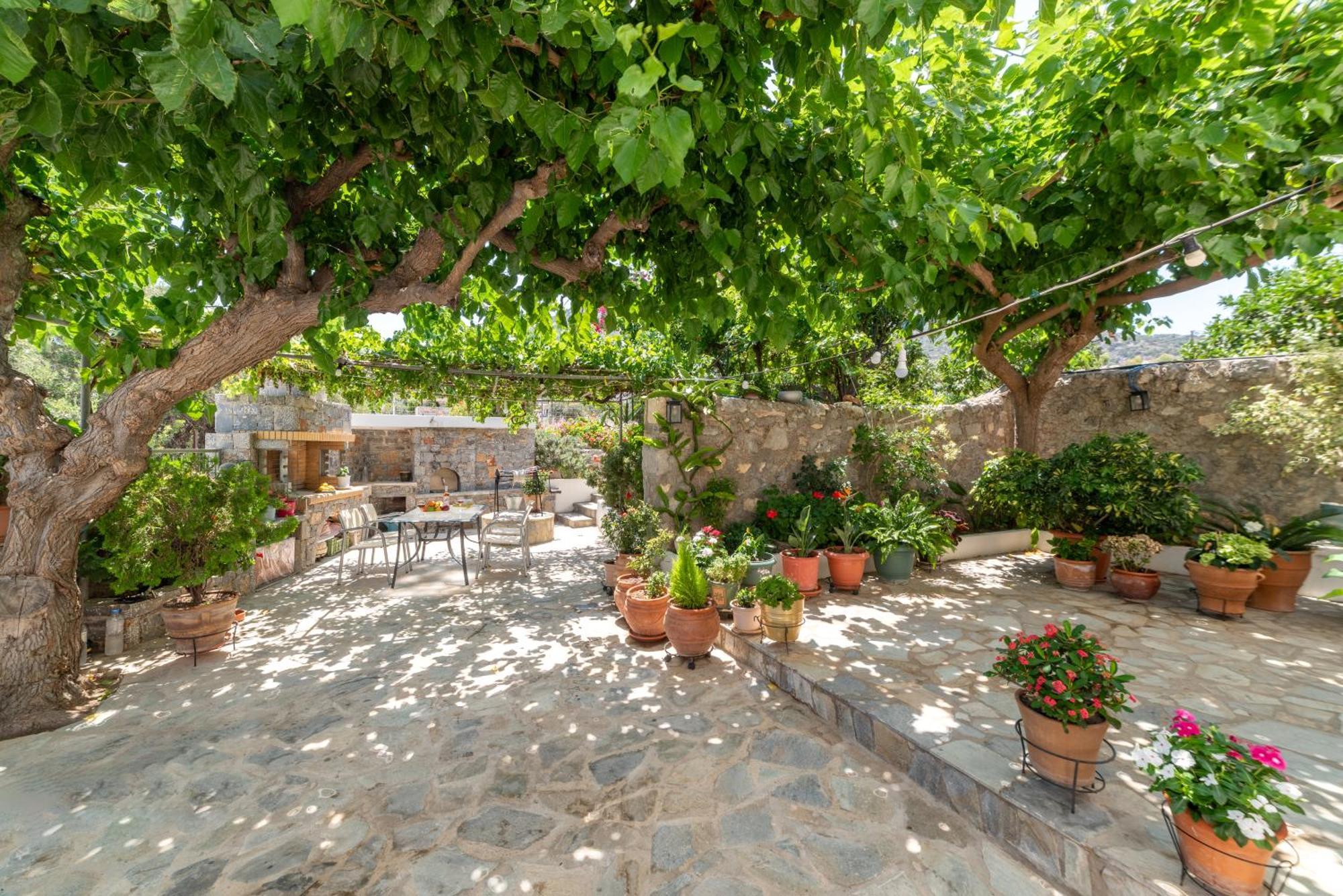 Kounenos House إسترو المظهر الخارجي الصورة